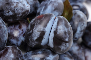 Similar image 11433942