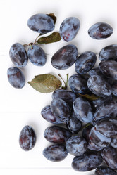 Similar image 11433950