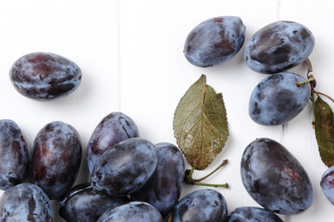 Similar image 11433952