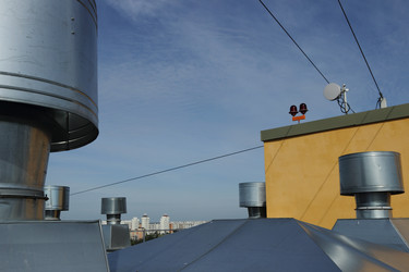 Similar image 11433911