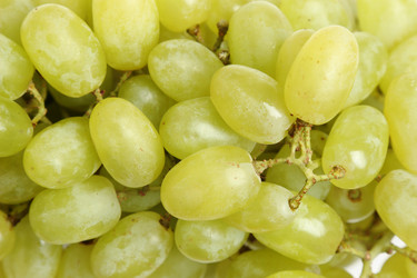 Similar image 11434608