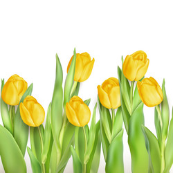 Similar image 11449905