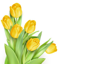 Similar image 11449906