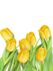 Similar image 11449907