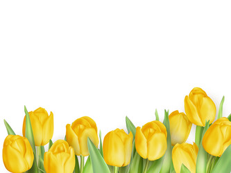 Similar image 11449926