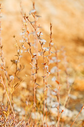 Similar image 11416048