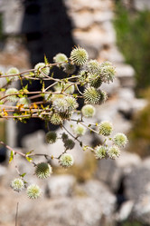 Similar image 11416097