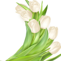 Similar image 11450205