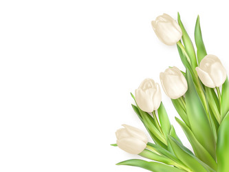 Similar image 11450177