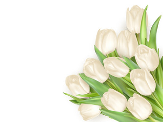 Similar image 11450183