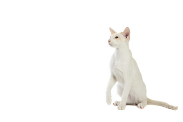 Similar image 11420343