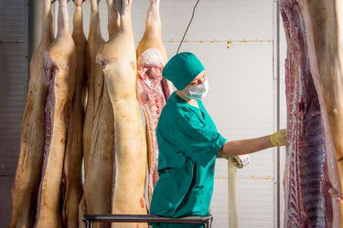 Similar image 11420187