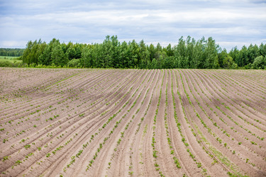 Similar image 11432552