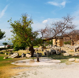 Similar image 11416247