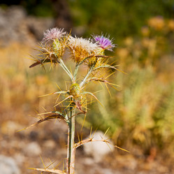 Similar image 11416183