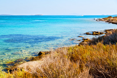 Similar image 11416207