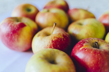 Similar image 11426318