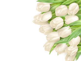 Similar image 11449951