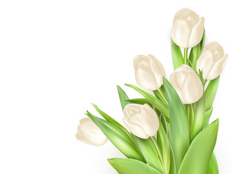 Similar image 11449967