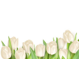 Similar image 11449970