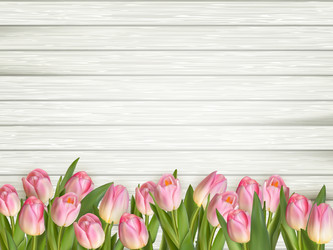 Similar image 11450155