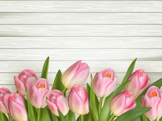 Similar image 11450156