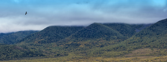 Similar image 11421644