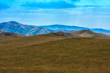 Similar image 11421664