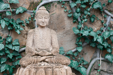 Similar image 11418557