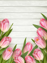 Similar image 11449987