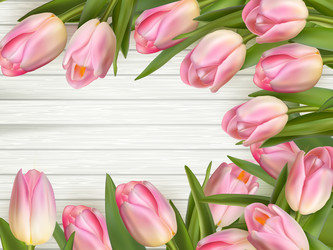 Similar image 11449989