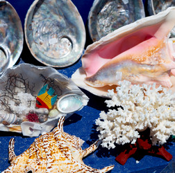 Similar image 11464631