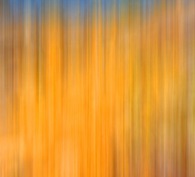 Similar image 11464647