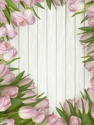 Similar image 11449996