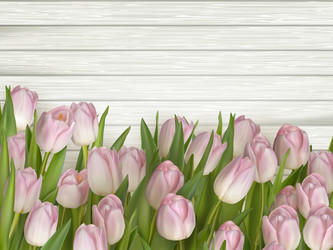 Similar image 11449997