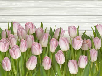 Similar image 11450086