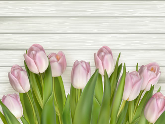 Similar image 11450000