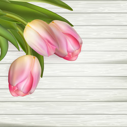 Similar image 11450018