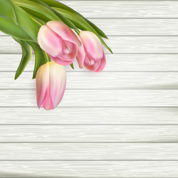 Similar image 11450020