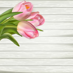 Similar image 11450022