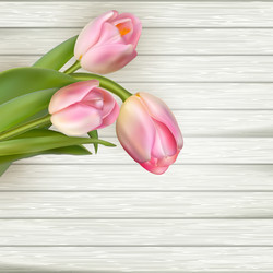 Similar image 11450023