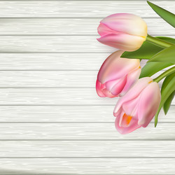 Similar image 11450094