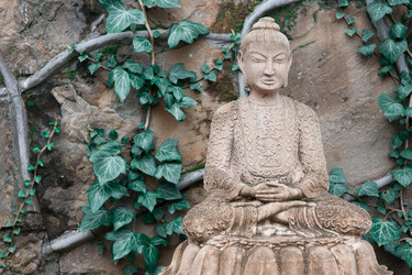 Similar image 11418558