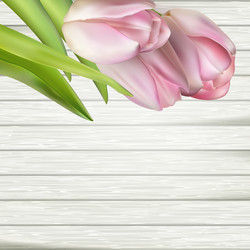 Similar image 11449745