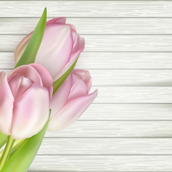 Similar image 11449772