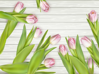 Similar image 11449776