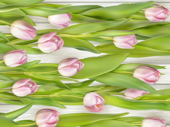 Similar image 11449778