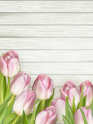 Similar image 11449783