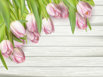 Similar image 11449789