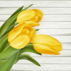 Similar image 11449806